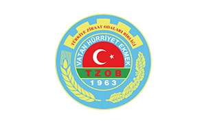 logo_41